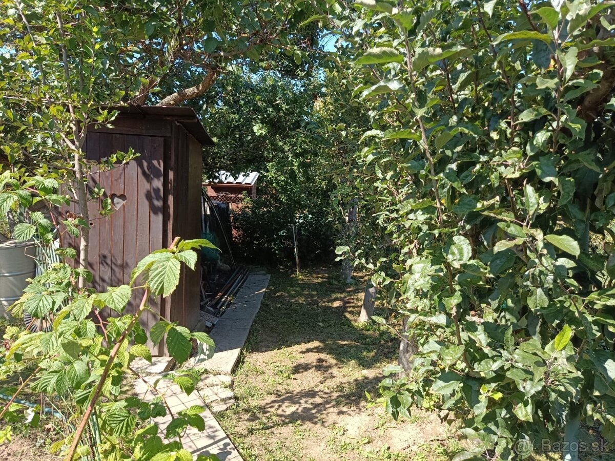 Zahrada v zahradkarskej osade v Sali - 5