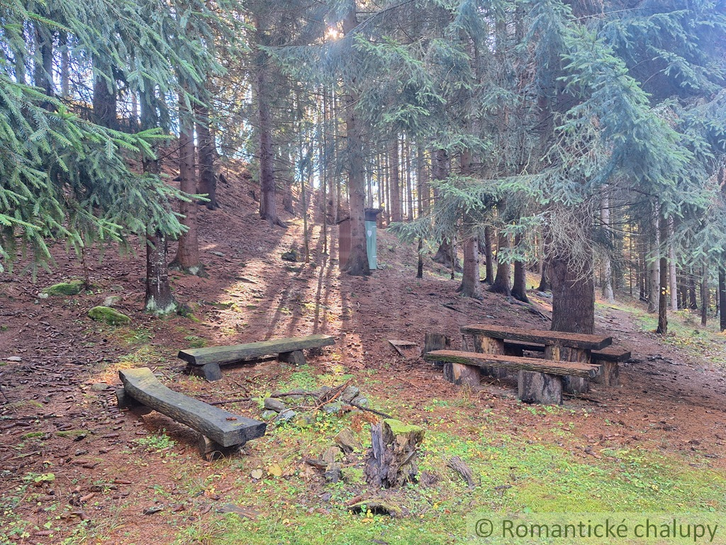 Chata v Studenej doline na vlastnom pozemku s vodou a elek - 5