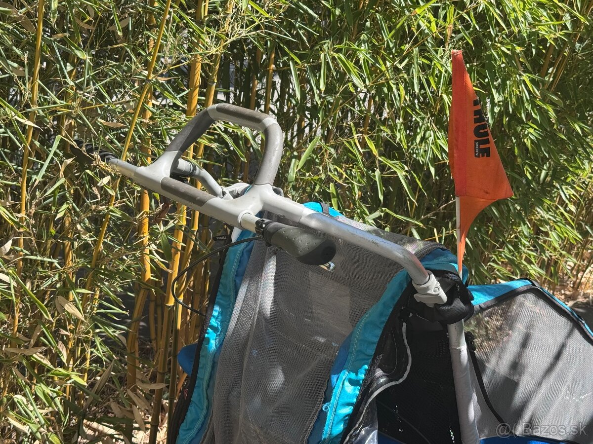 Thule Chariot CX - 5
