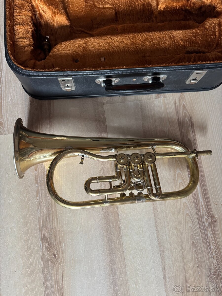 Krídlovka značka Lidl Brno - 5