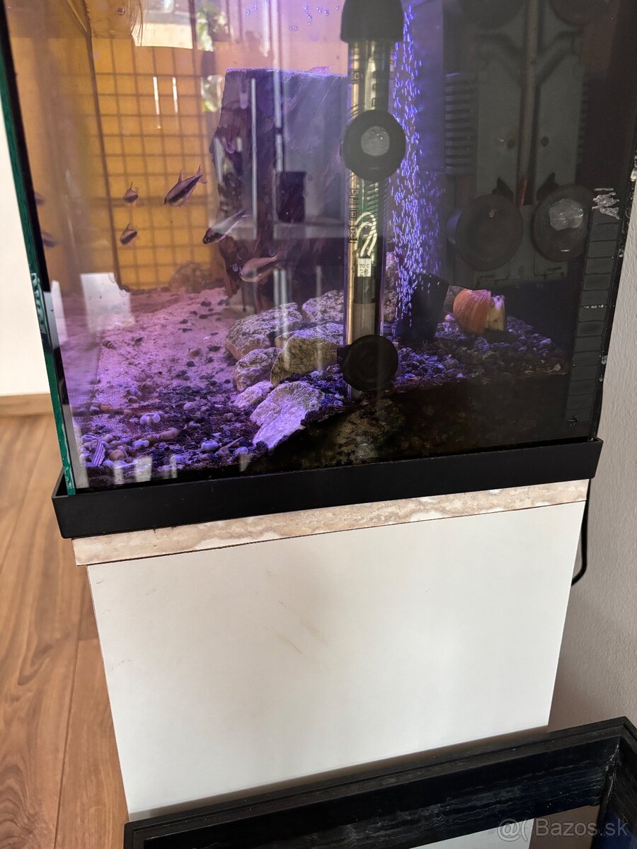 Akvarium so skrinkou - 5