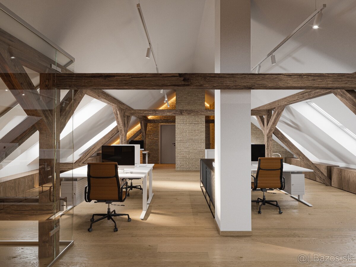 PRENÁJOM- PRIESTORY NITRA VILA NA ČÍNEŠI CENTRUM - 5