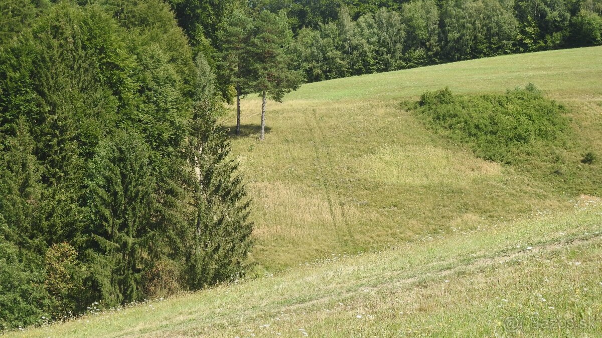 Pozemok na predaj 5 eur m2 Ski Park Desna - 5