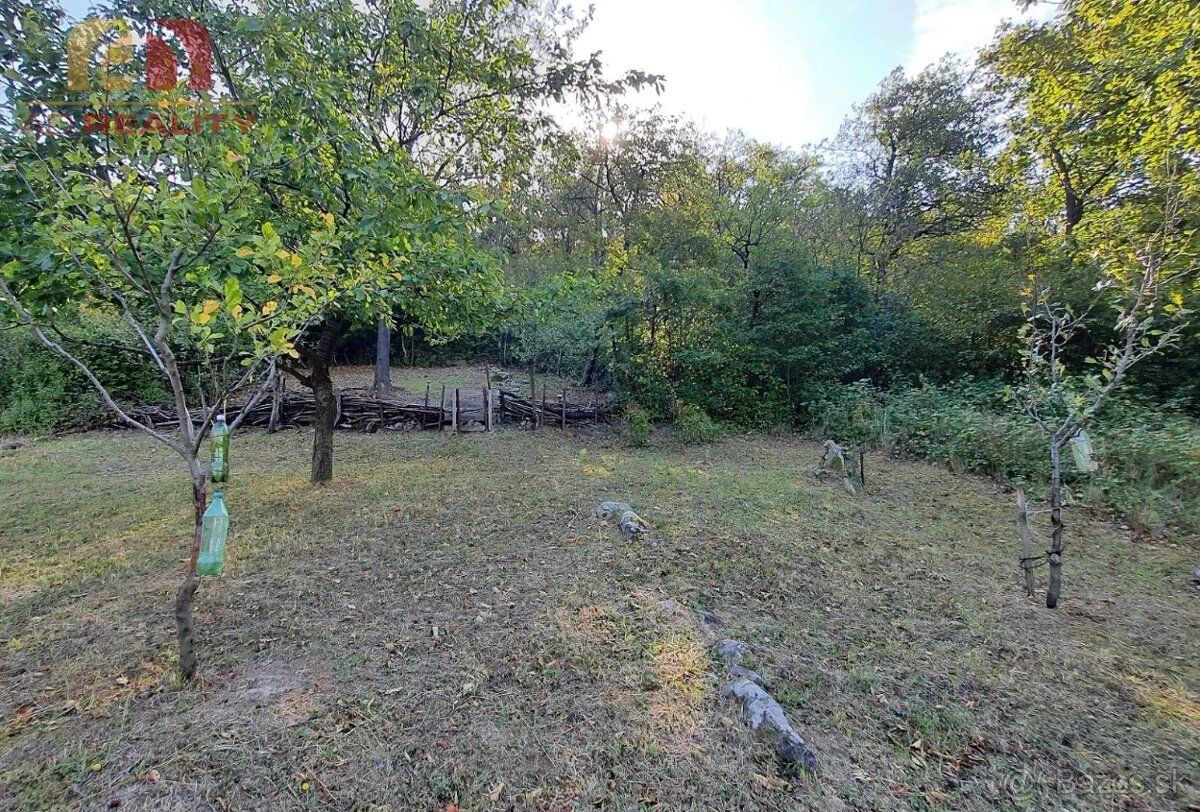 AD REALITY - VINICA - Trnava pri Laborci - 5