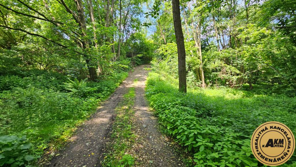 Stavebný pozemok 1828 m2 Zvolen obec Kalinka-Slatinské Lazy - 5