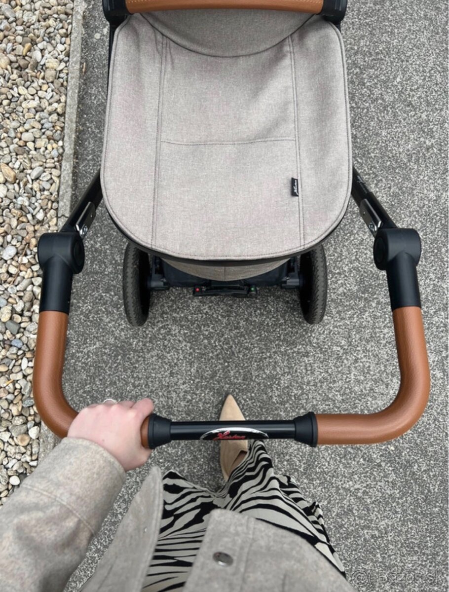 Hartan Viva GTR Buggy - 5