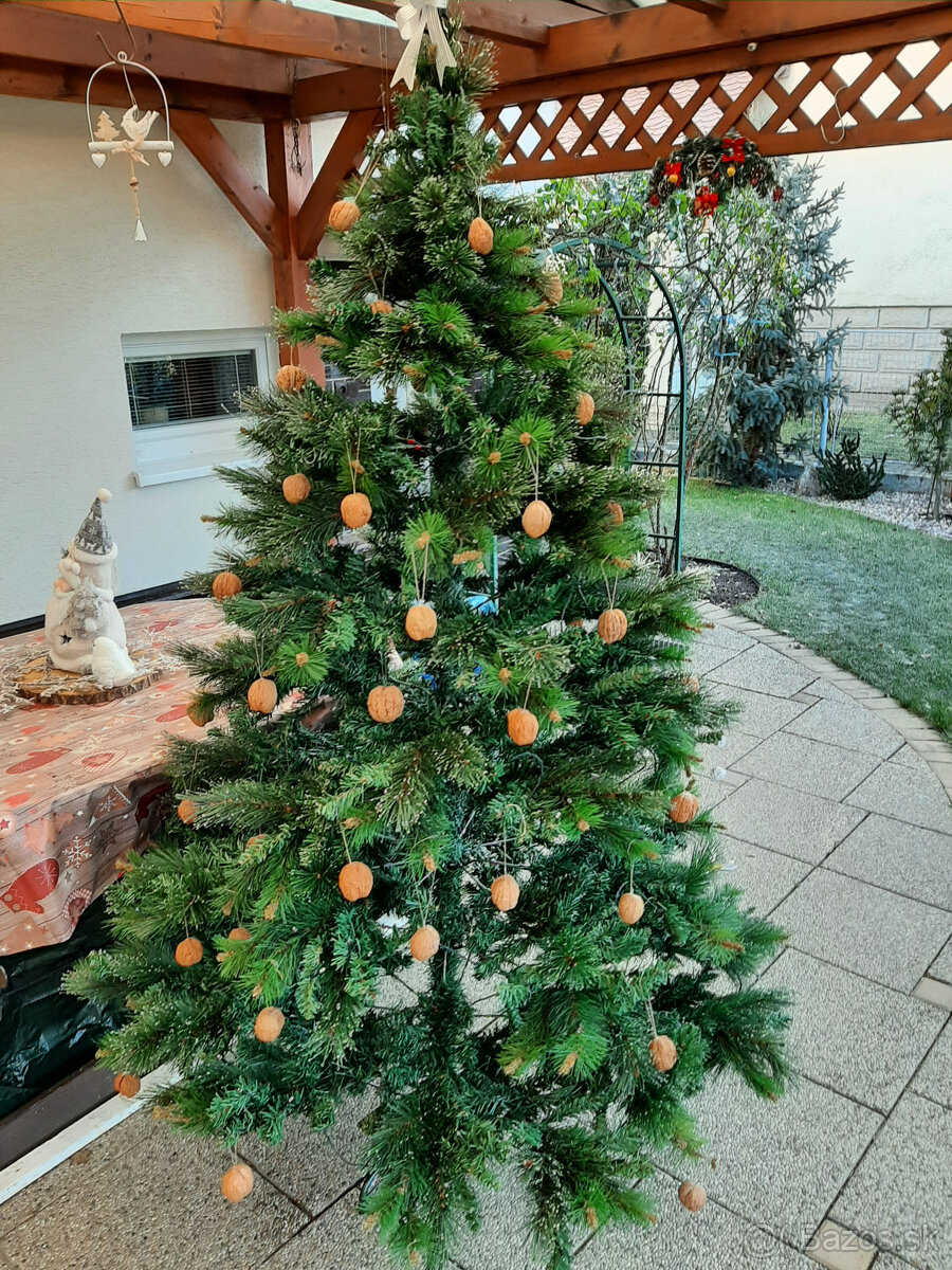 Predám vianočný stromček. - 5