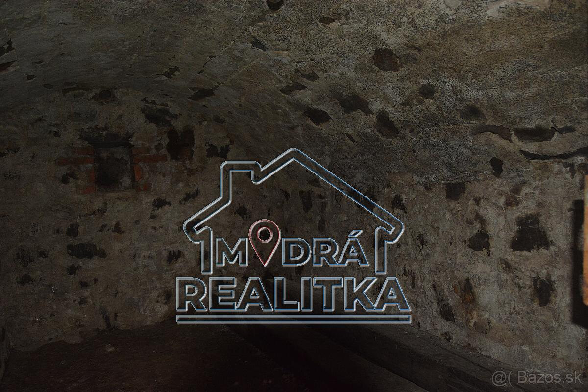 Rekreačný pozemok s chatou vo viniciach – Vinné, Zemplínska - 5