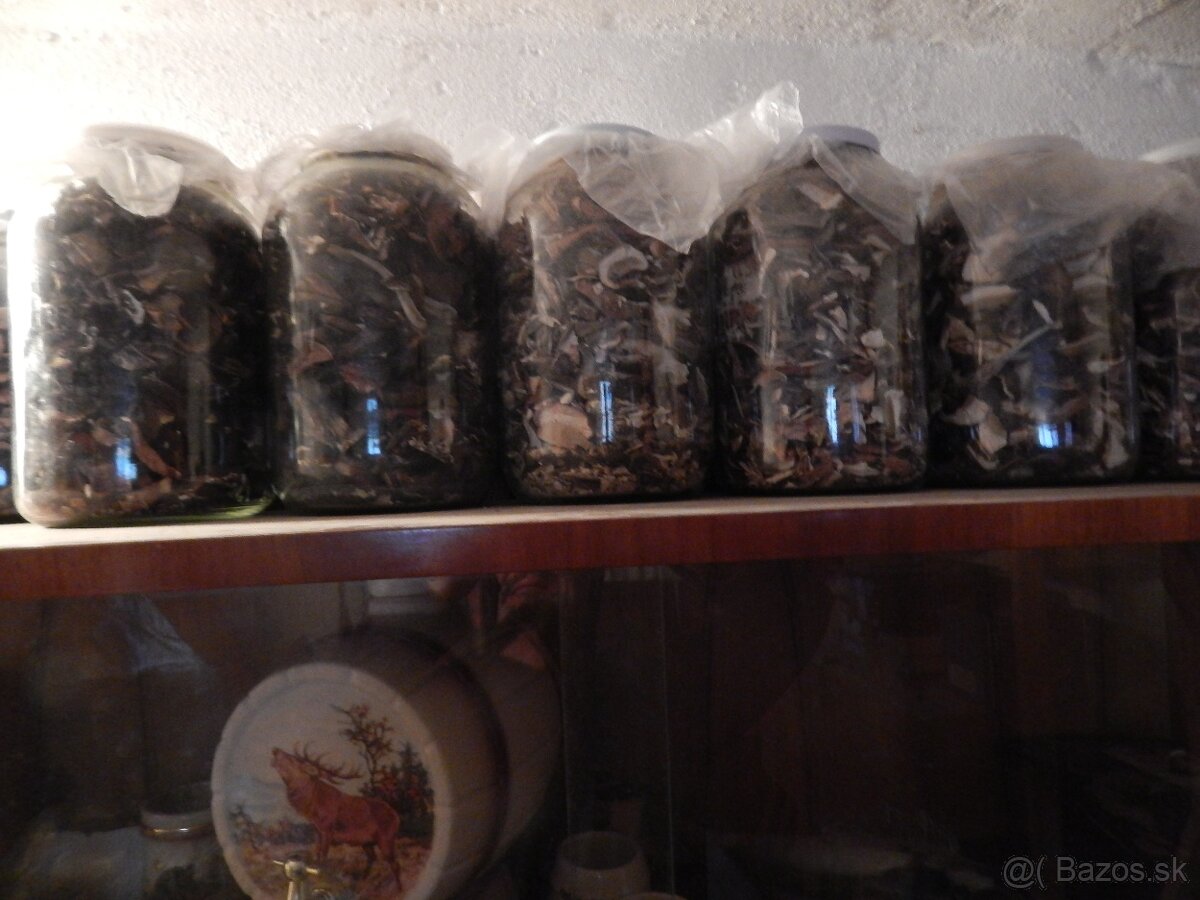 Predám sušené dubáky. - 5