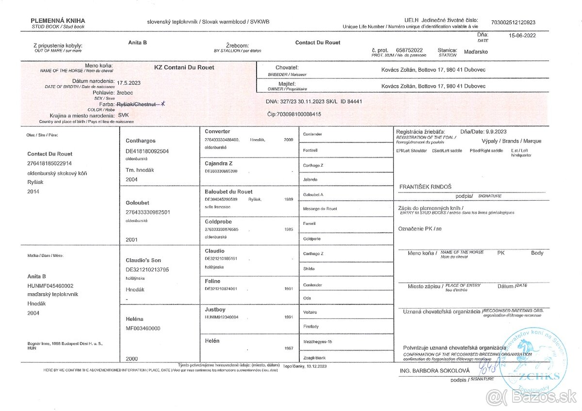 Predám skvelého 2-ročného ST žrebca - 5