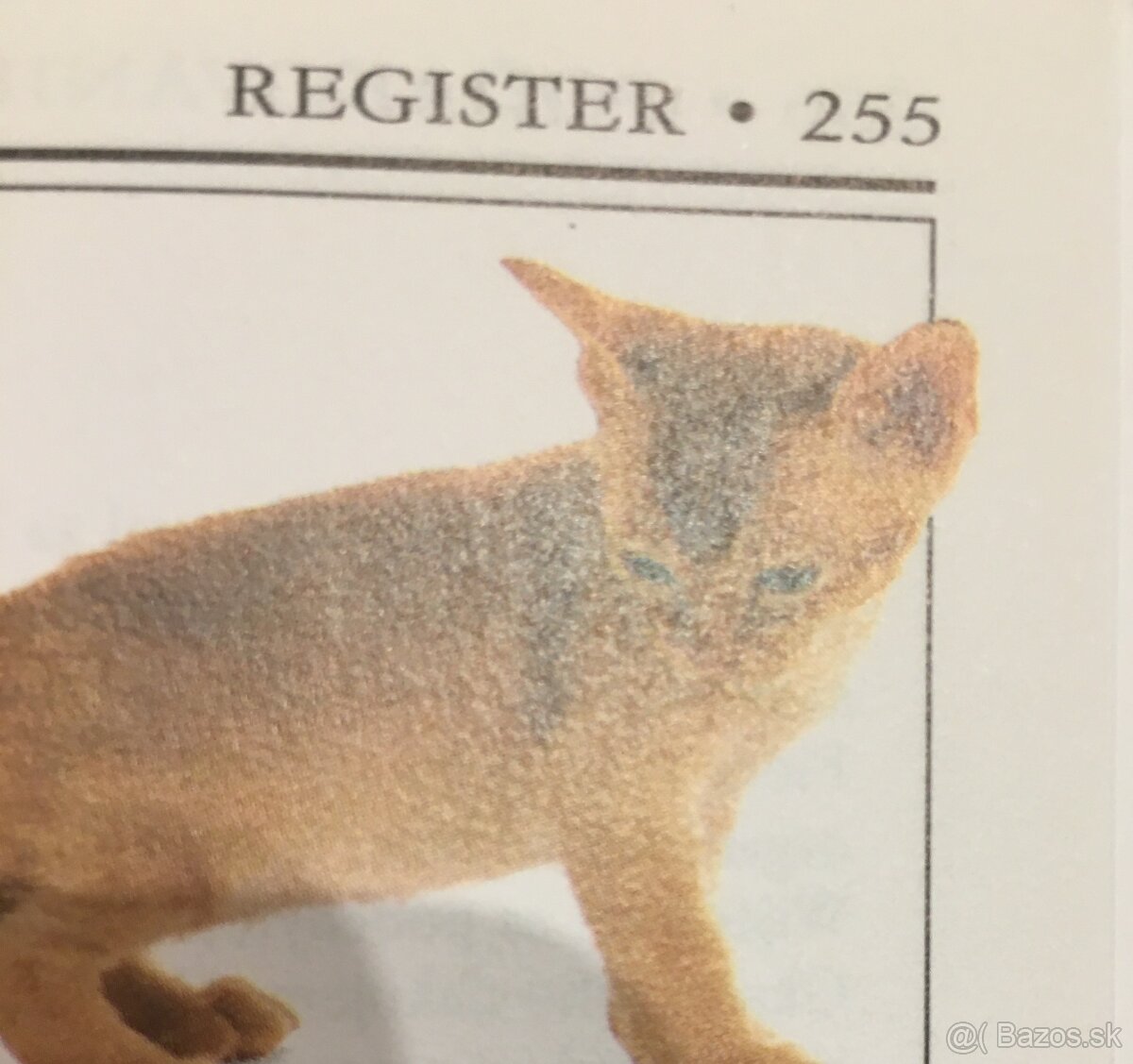 Mačky - 3 knihy - 5