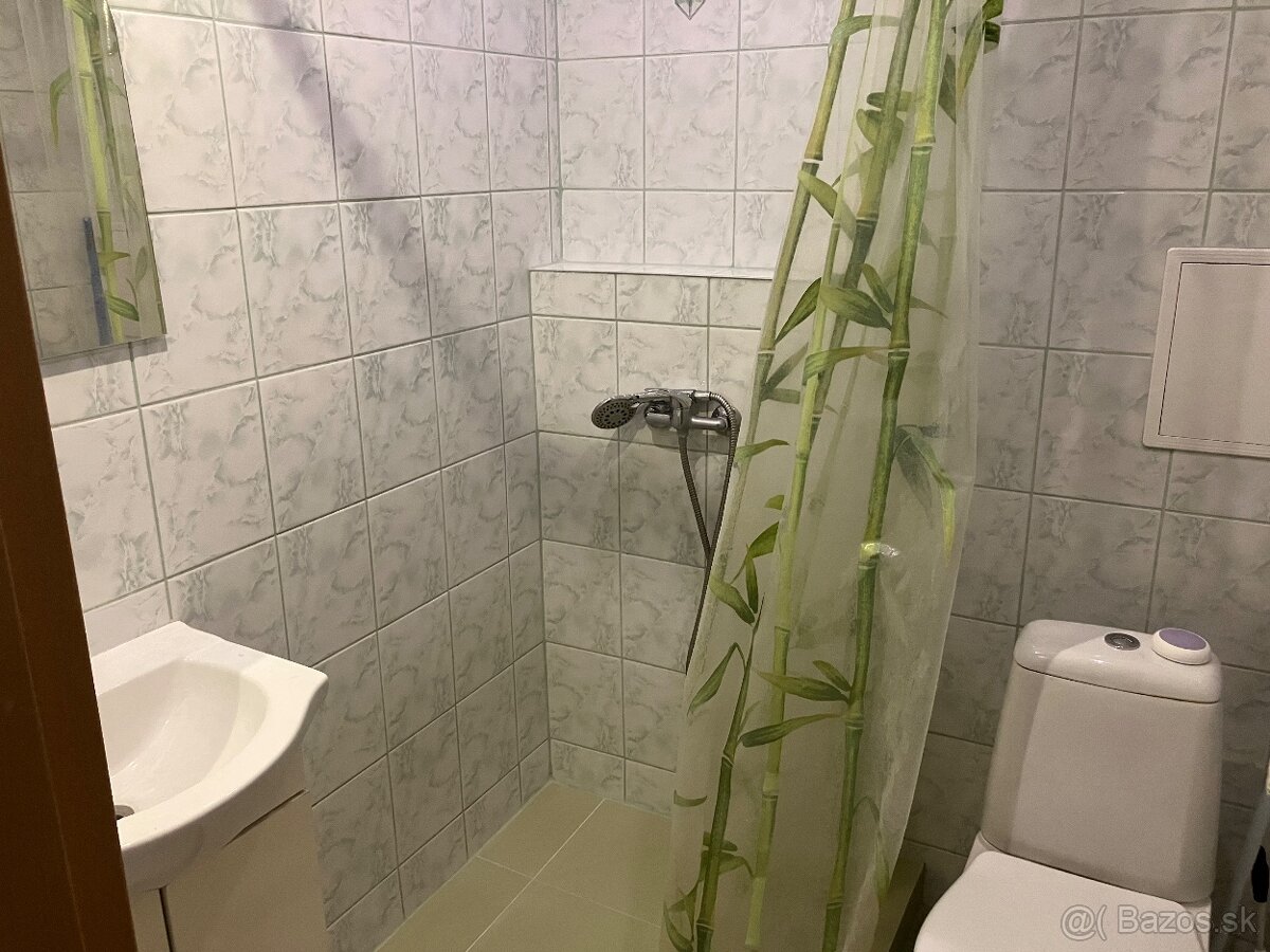 1 izbovy byt na prenájom - 5