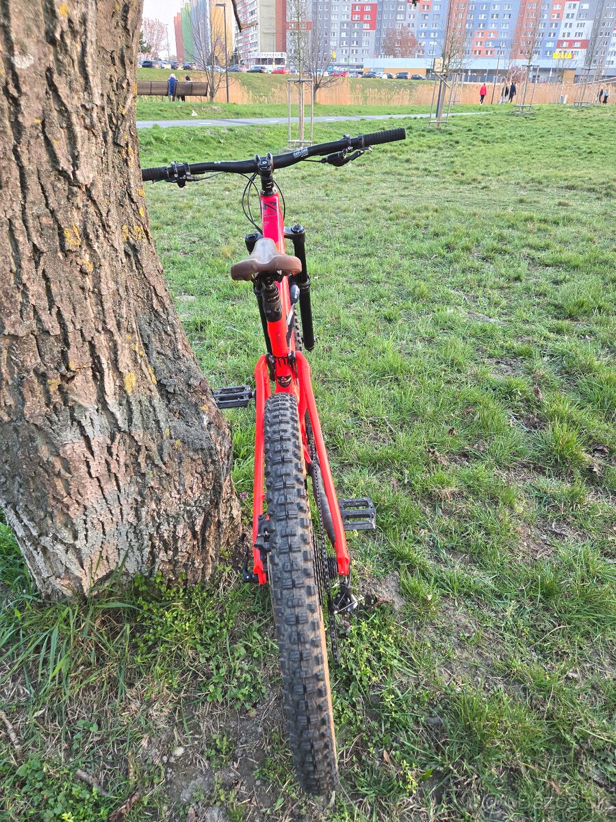 CTM Scroll Expert 2019 - 5