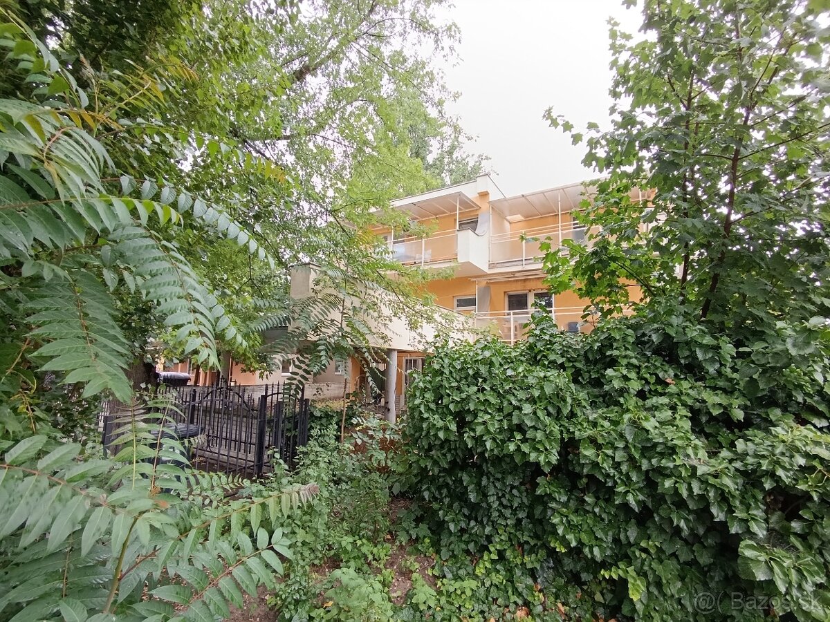 Penzión priamo v centre Slnečných jazier v Senci - 5