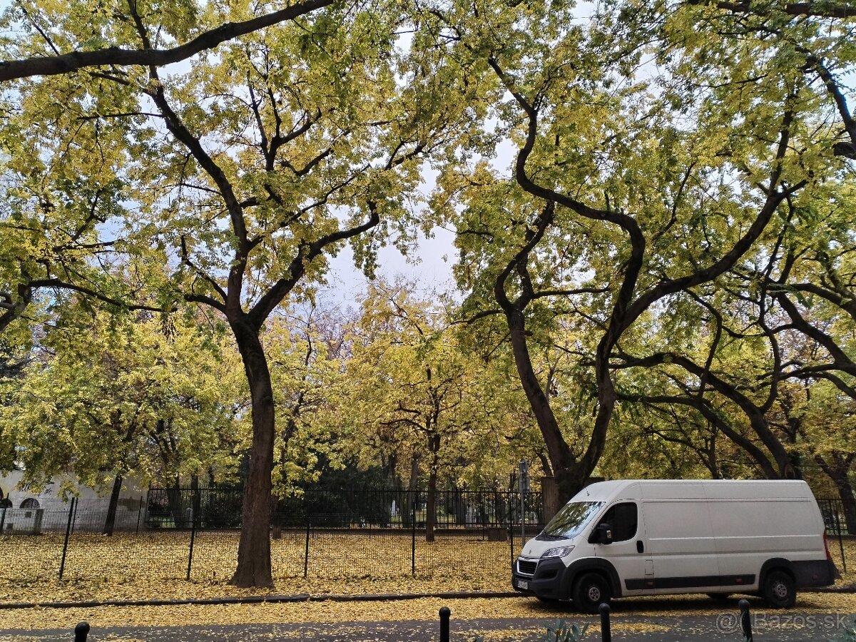 Preprava a sťahovanie - 5