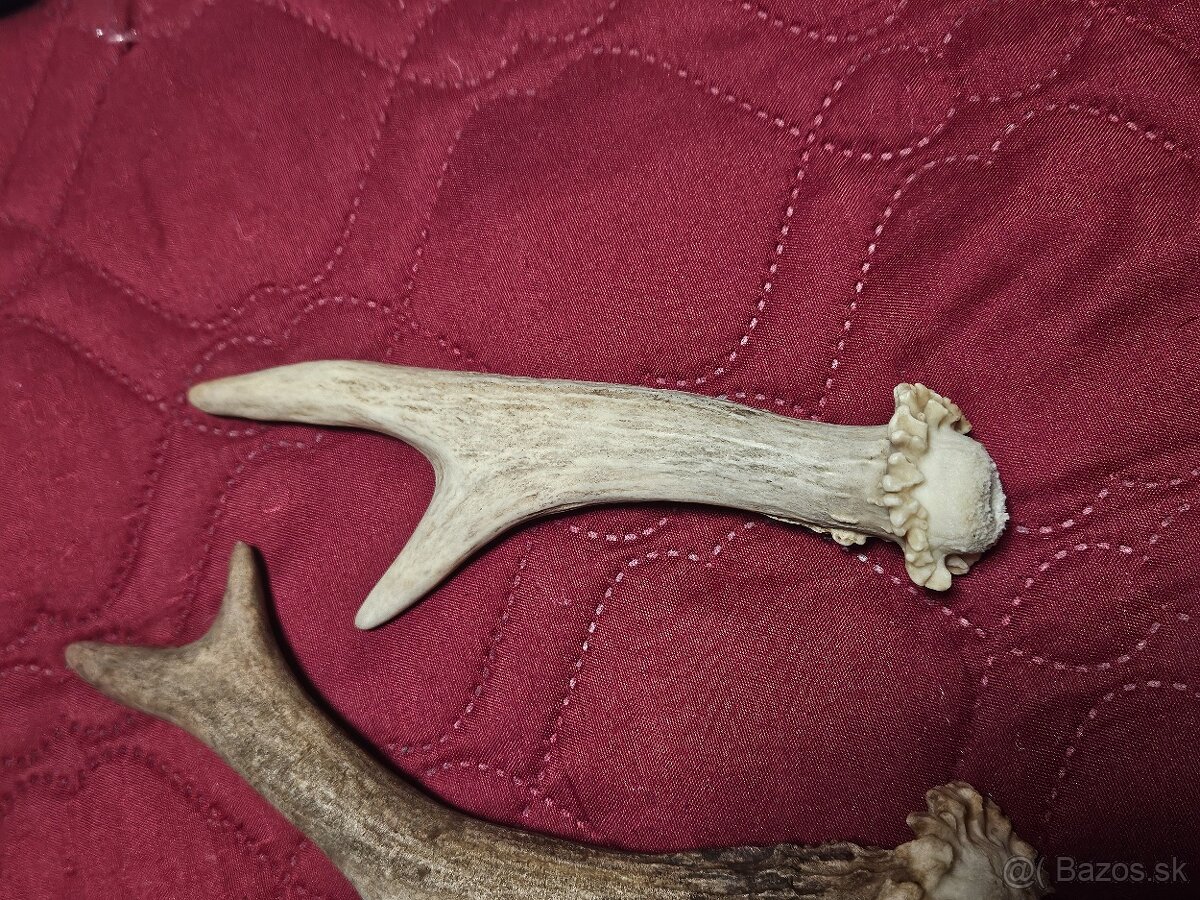 parohy parožie na výrobky rukoväť noža - 5