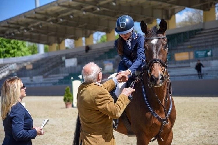 Nová cena nádherná 14r. kobyla na predaj - 5