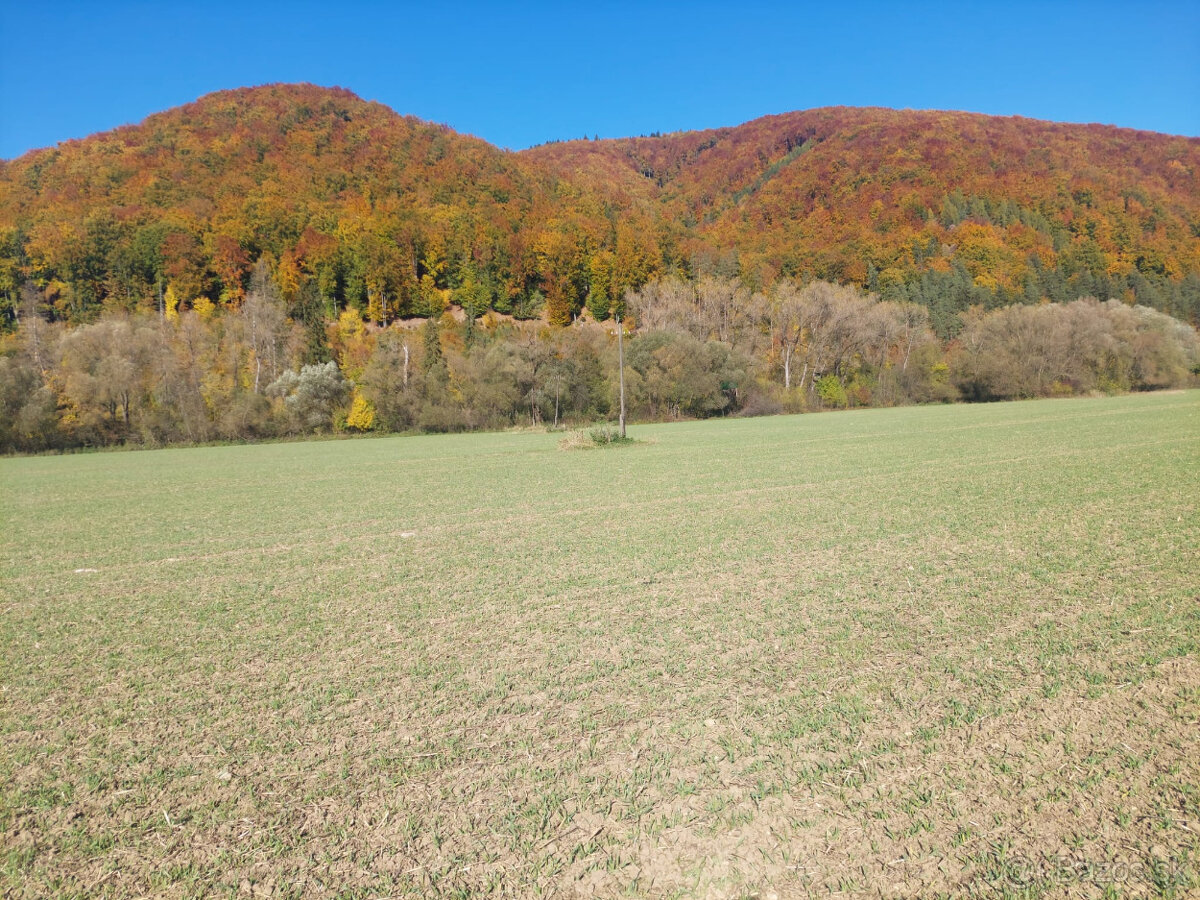PREDAJ POZEMKU RAJECkĚ TEPLICE 1467 M2 - 5