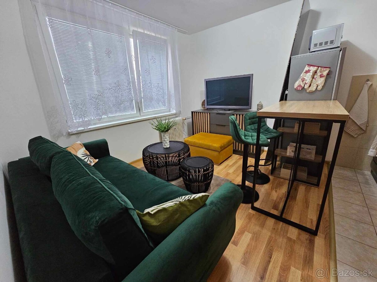 Prenajom 1,5 izbovy byt - 5