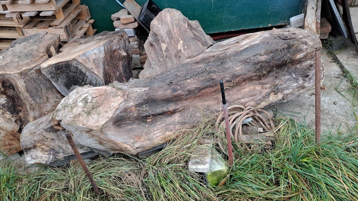 Predam orechove drevo - 5