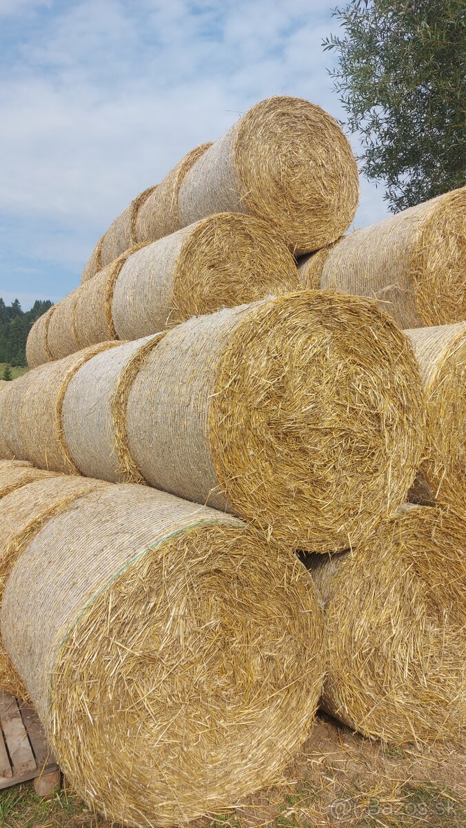 Predám seno ,slamu. mladzu - 5