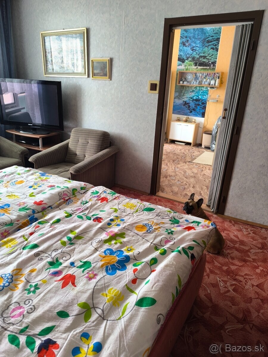 Jednoizbový byt v Leviciach - 5