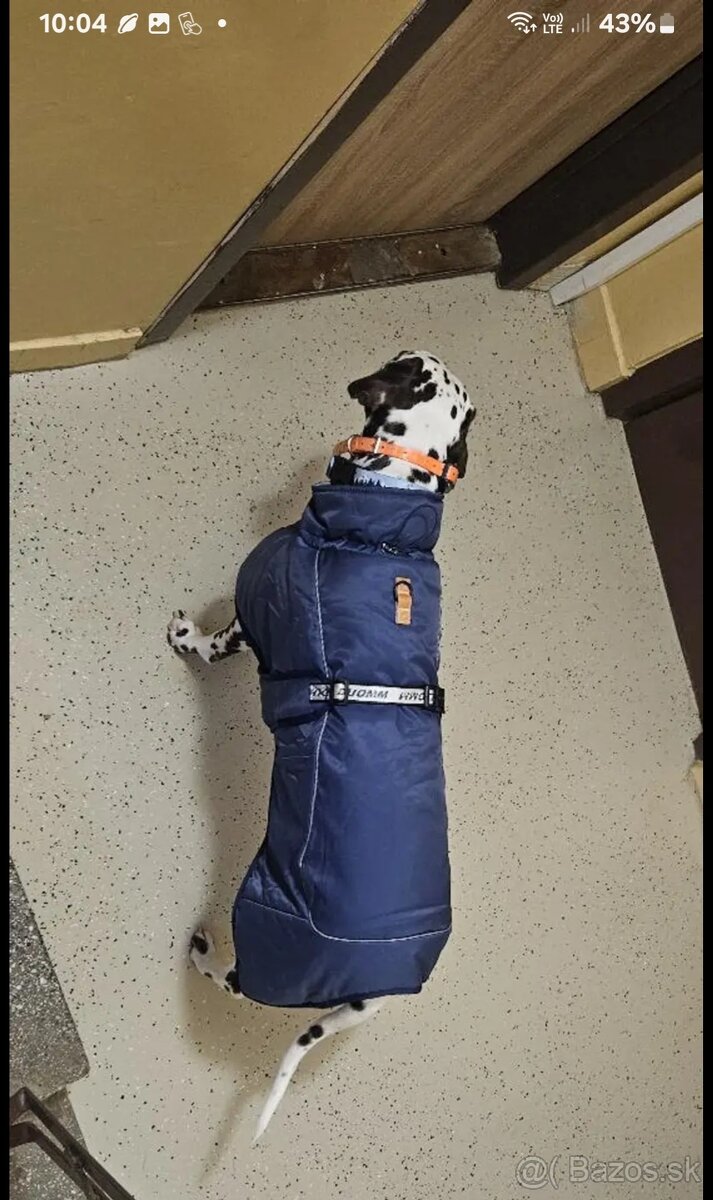 Zimný kabátik (bunda) pre psa (veľkého) 6XL - 5