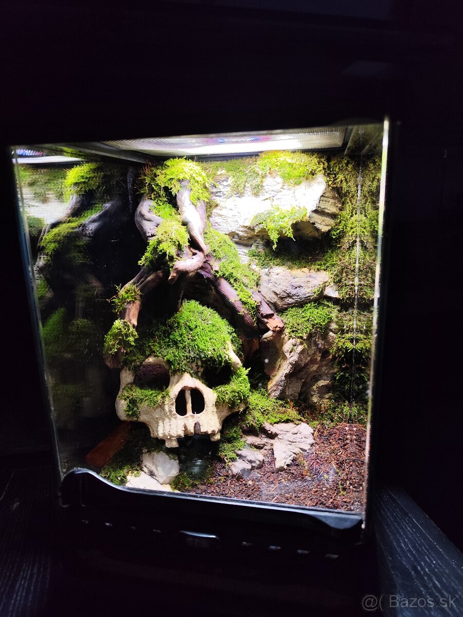 Terarium Exo terra - 5
