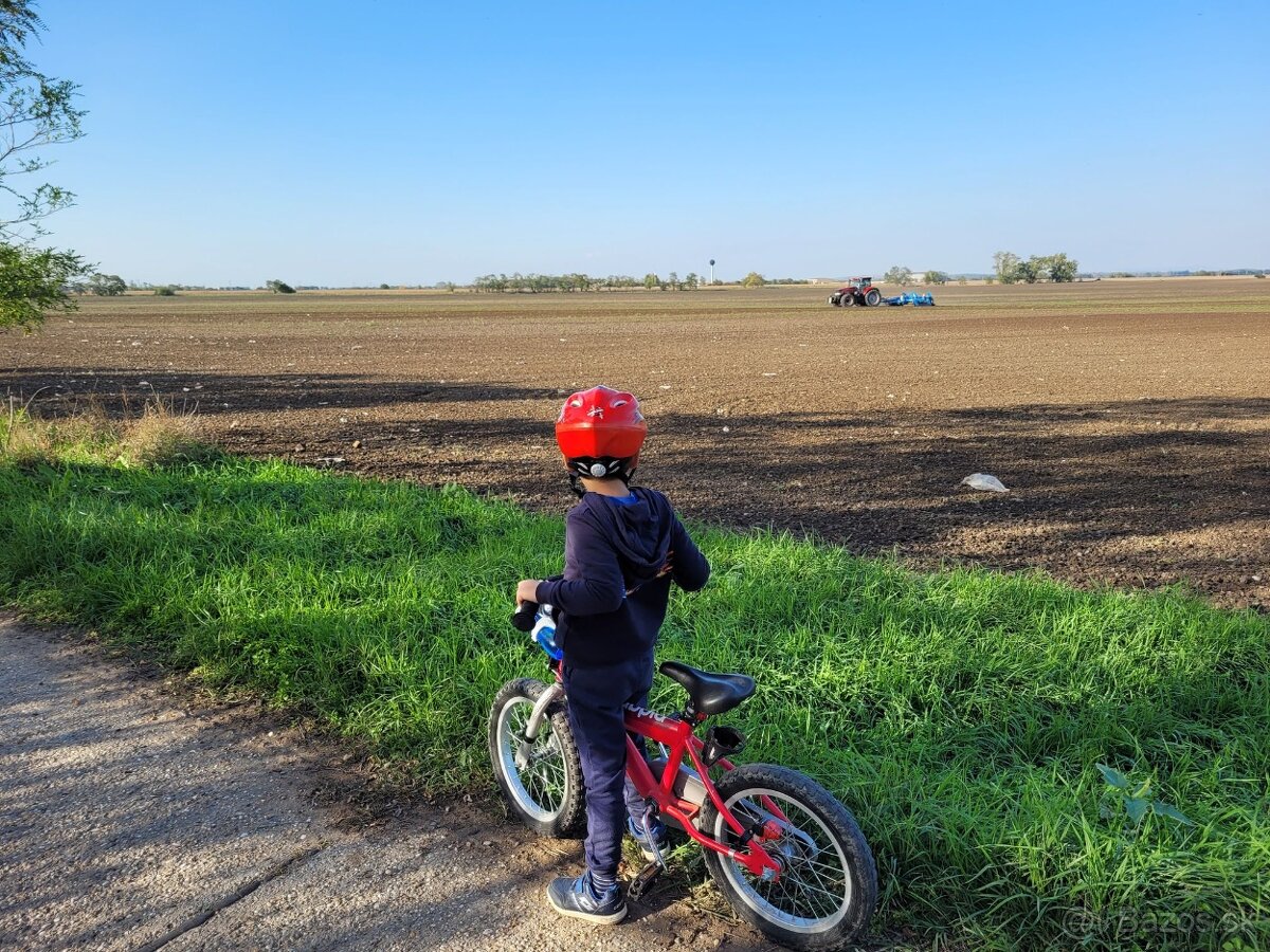 Detský bicykel YEDOO Pidapi 16 alu – červený - 5