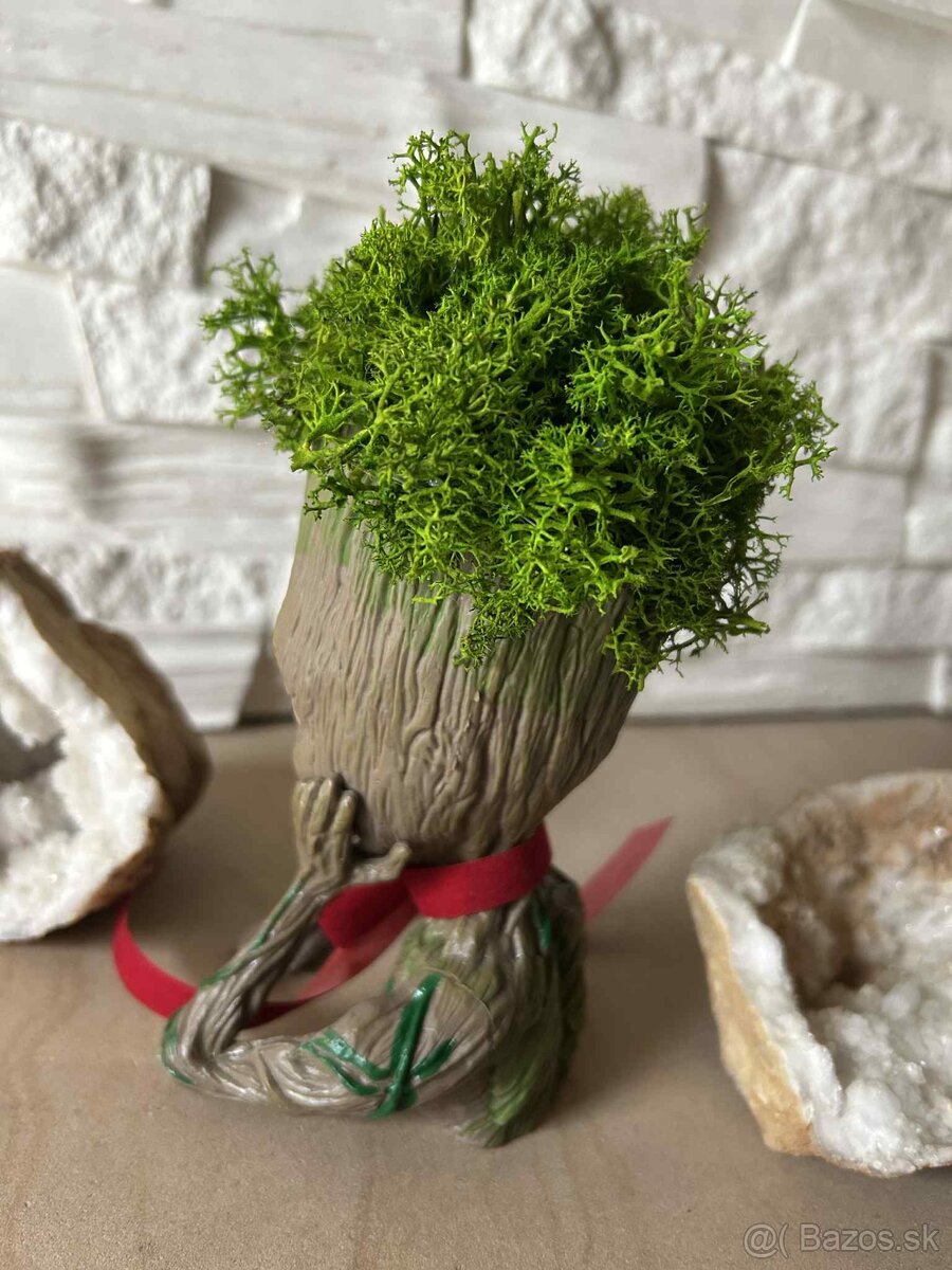 Groot so stabilizovaným machom - 5