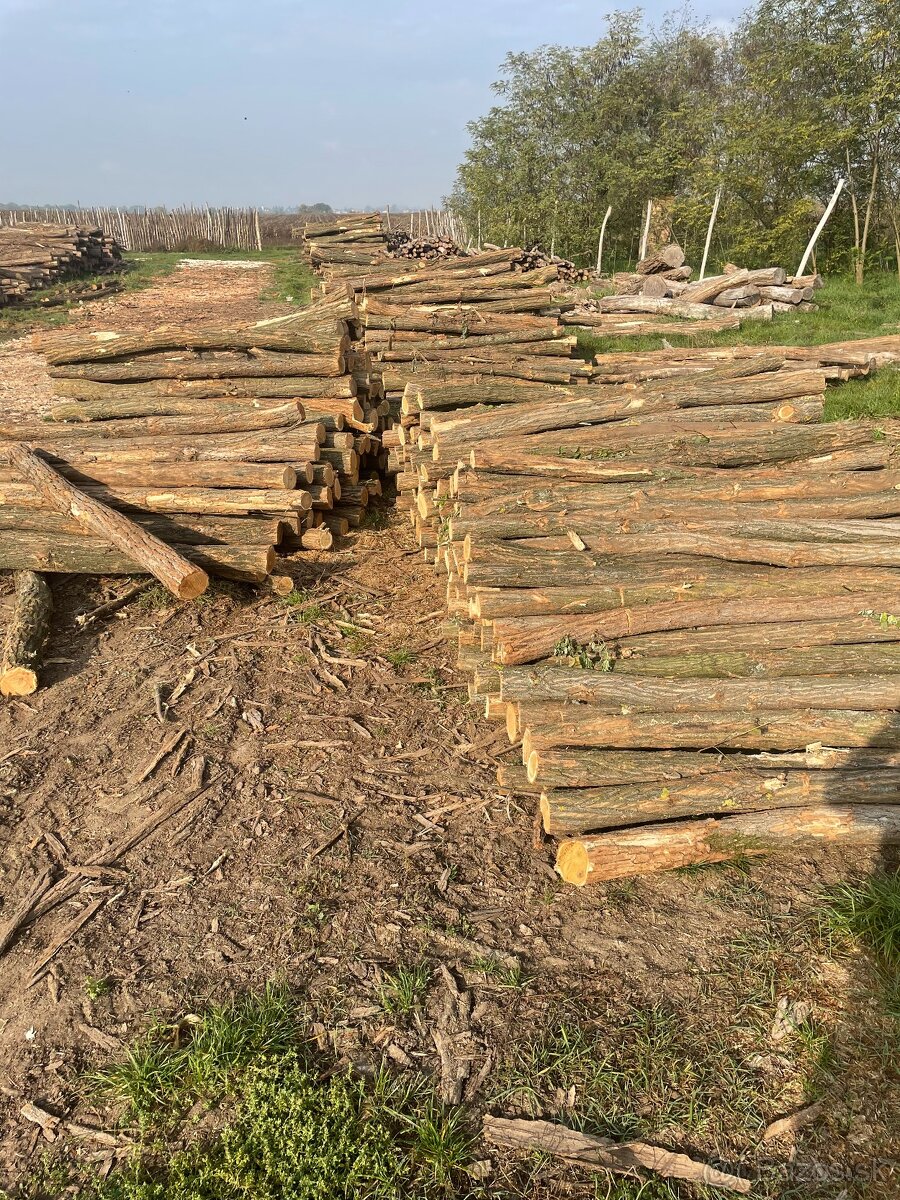 Agátové koly,stĺpy,žrde. Doprava od 25,- Eur- celá SR - 5