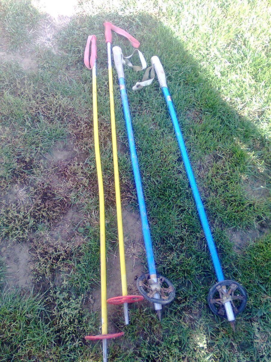 LYŽE PALICE - 5