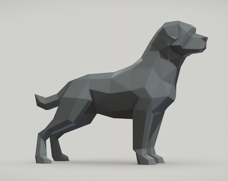 Doberman - 5