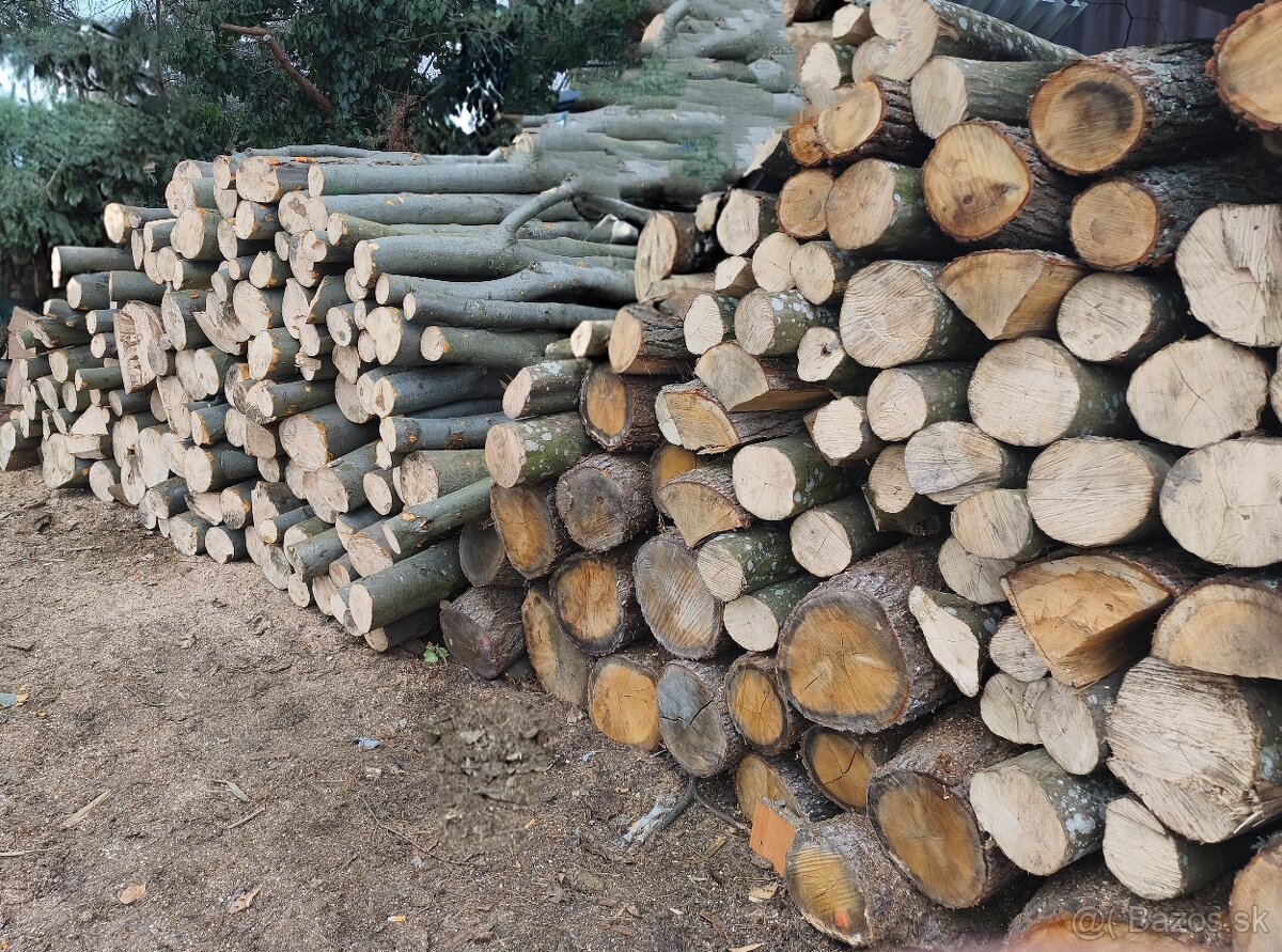 Palivové drevo - 5