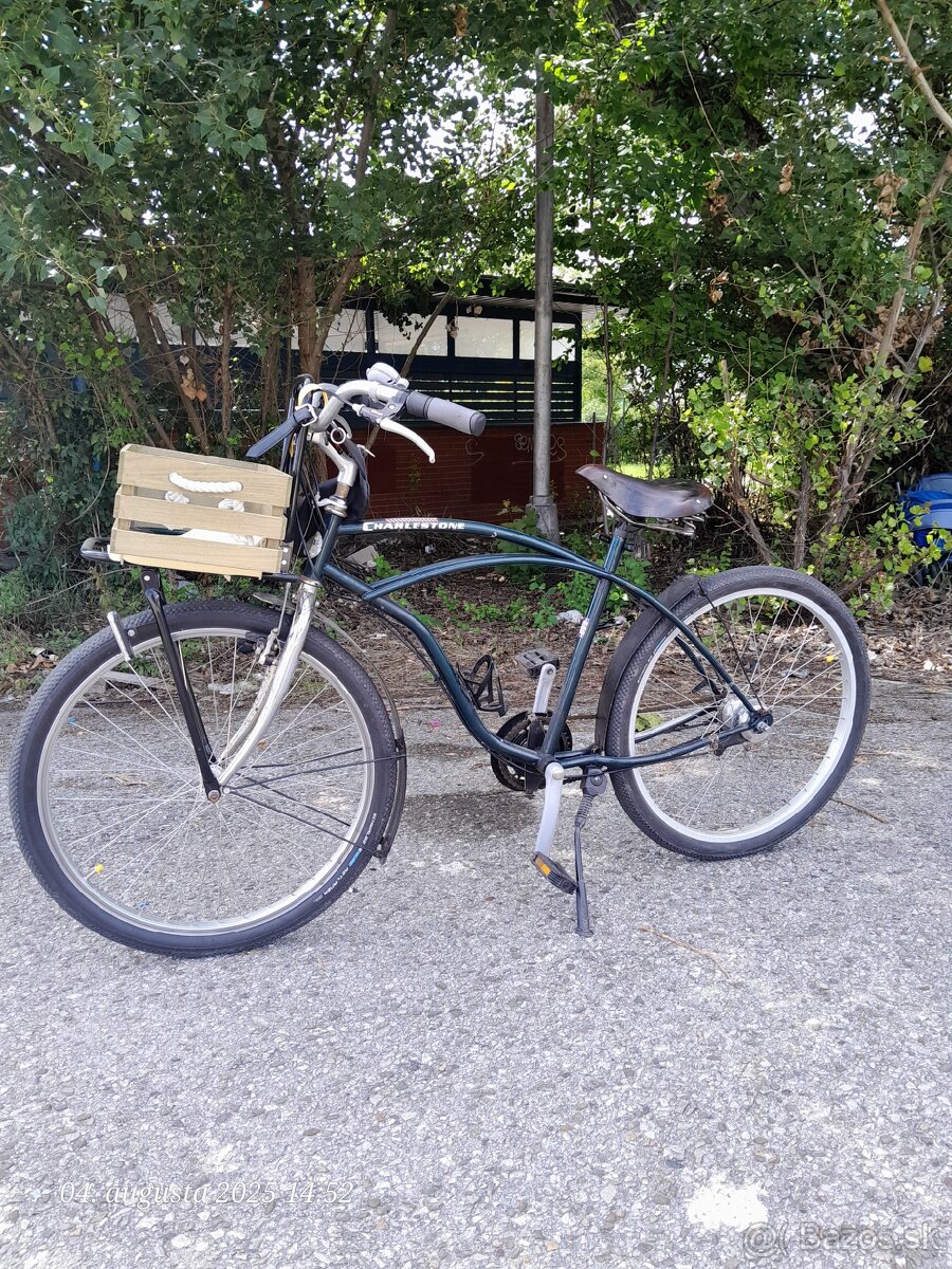 Beach cruiser 26" - 5