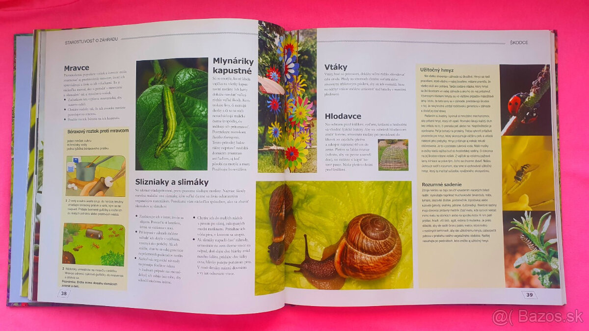 Labužníkova záhrada. - 5