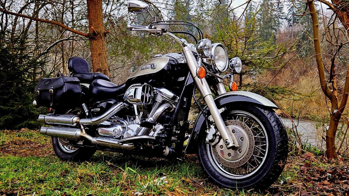 YAMAHA XV 1600 WILD STAR - 5