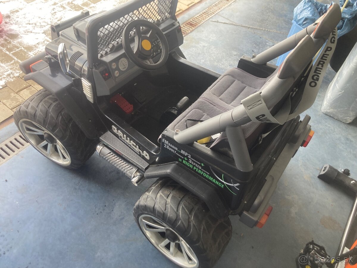 Peg-Pérego Gaucho 24V - 5