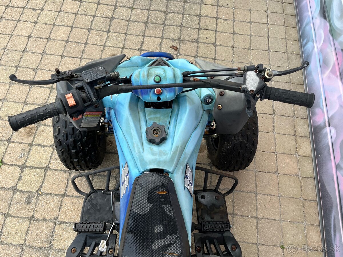 Detská štvorkolka Arctic Cat