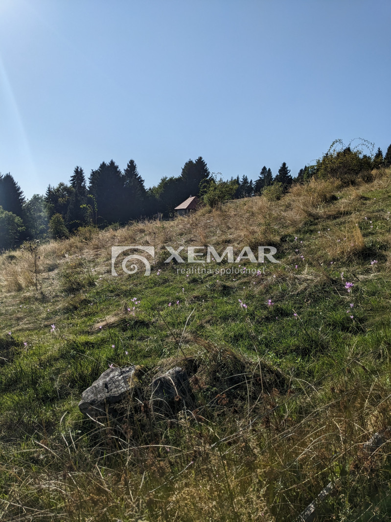 Na predaj pozemok v Hriňovej - 5