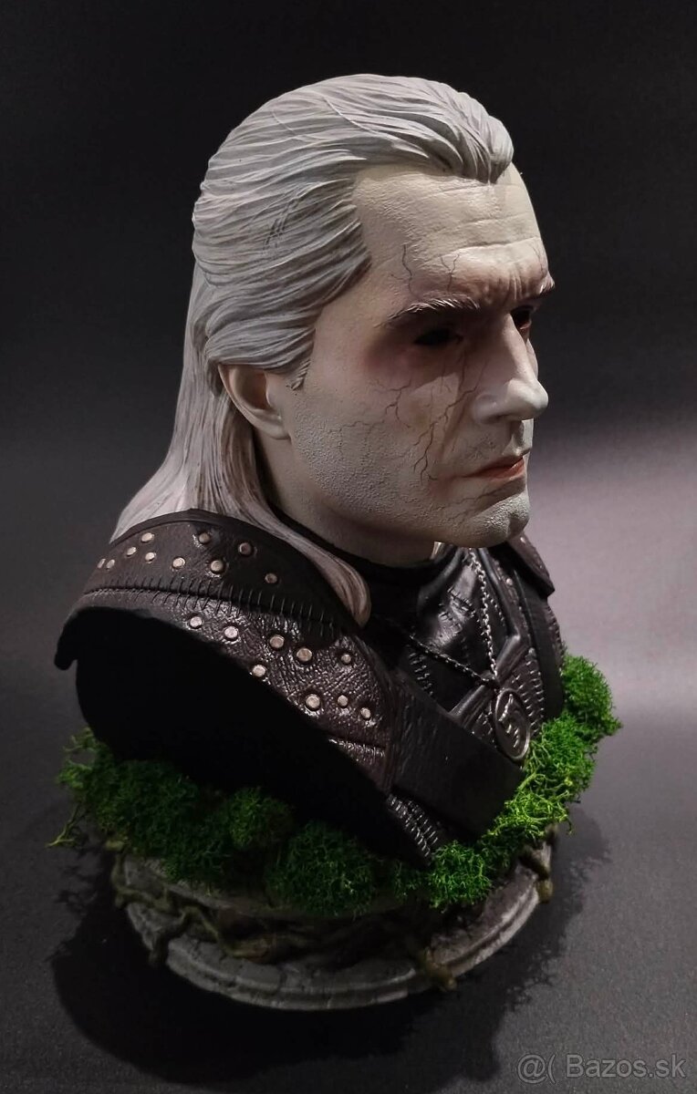 The Witcher/Zaklínač - 5