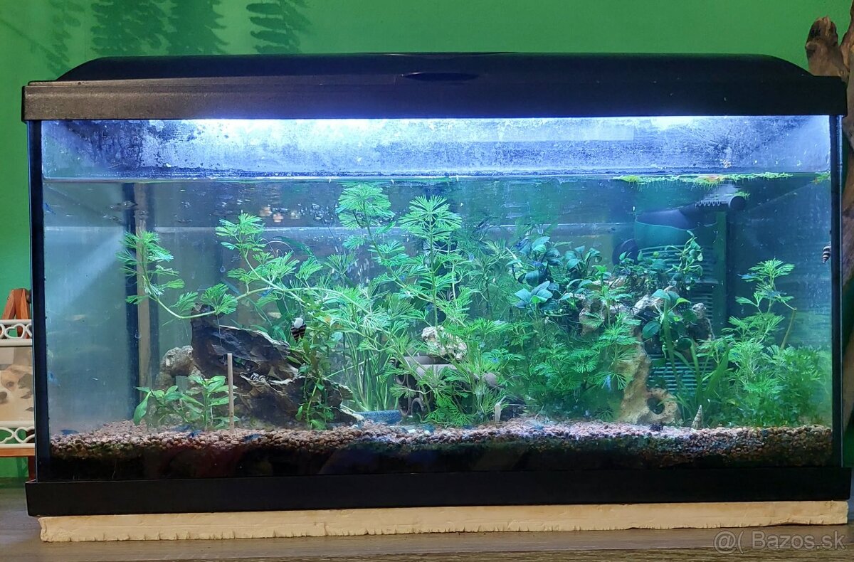 Akvárium 100x55x60cm - 5