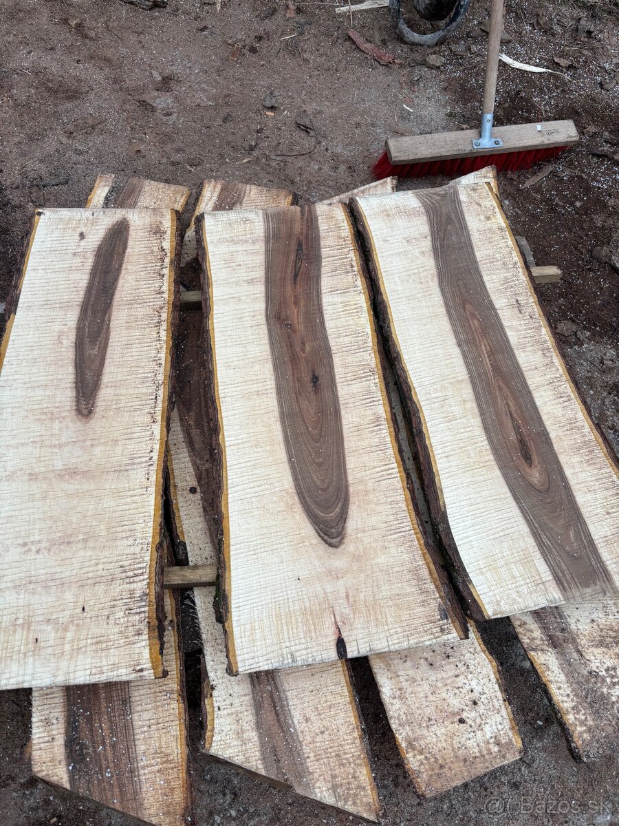 Orechové dosky rezivo drevo orech - 5