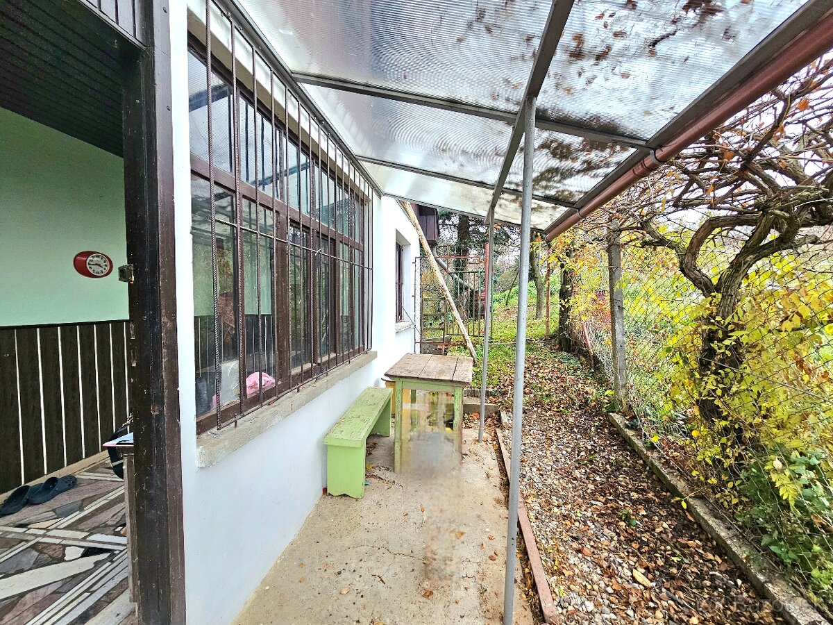 Viničný dom s vinicou Staré Predné Levice - 5