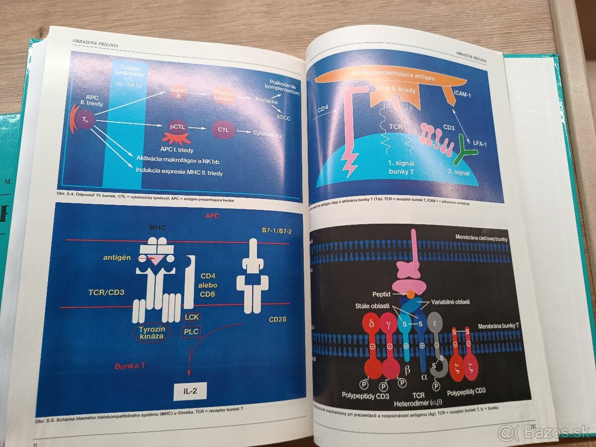 Pediatria I.,II., 1998 - 5