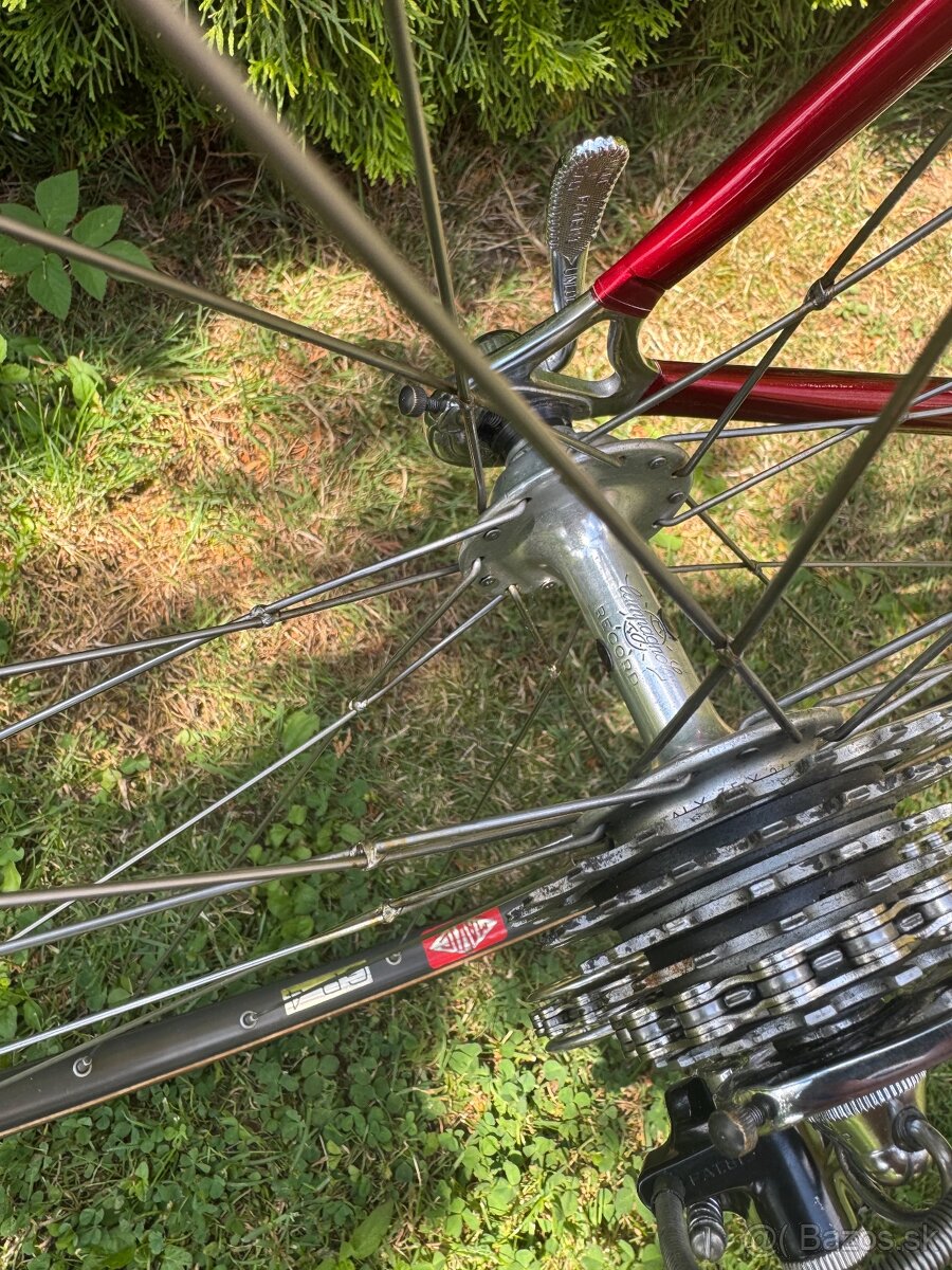 Colnago Nuovo Mexico - 5