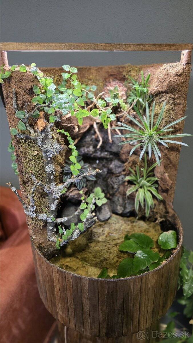 Paludarium - 5