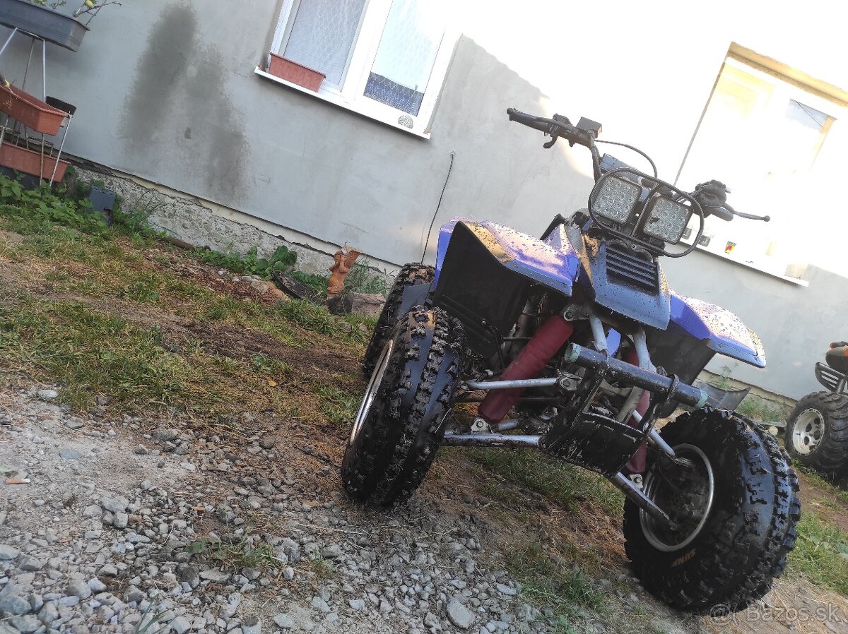 Yamaha warrior 350