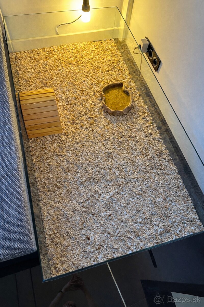 Suchozemské korytnačky - 5