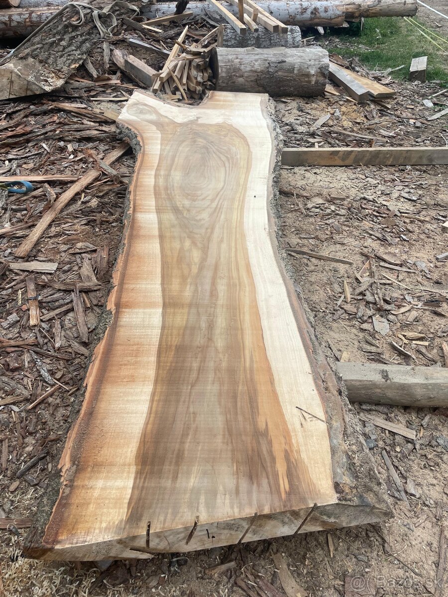 Nadrozmerné topolove rezivo fošne drevo - 5